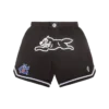 Team ic running dog basketball shorts