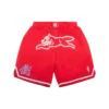 Team ic running dog basketball shorts