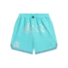 Team ic running dog basketball shorts