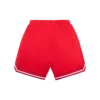 Team ic running dog basketball shorts