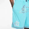 Team ic running dog basketball shorts