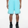 Team ic running dog basketball shorts